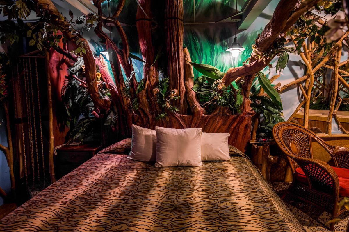 Feather Nest Inn (Adults Only)Cherry Hills Village エクステリア 写真